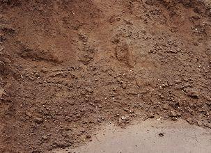 Bild zum Inserat: Mutterboden humus zu verschenken 15 m3